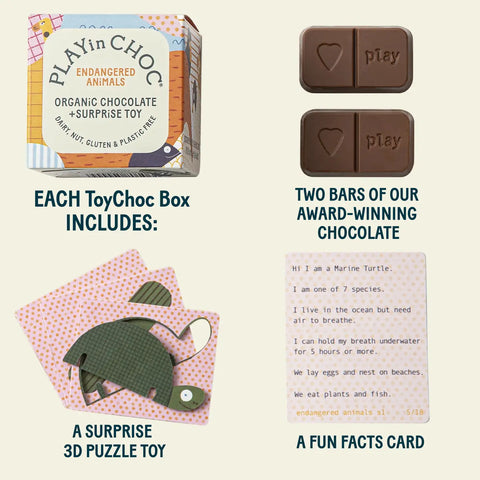 Endangered Animals ToyChoc Box